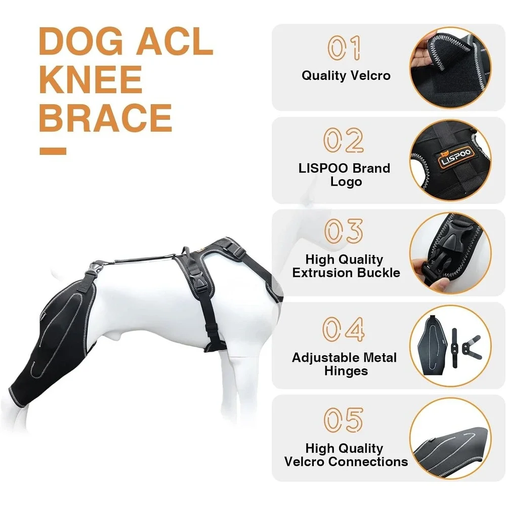 LISPOO Dog Acl Knee Brace‎ Torn Acl Leg Luxating Patella Relieves Joint Pain L